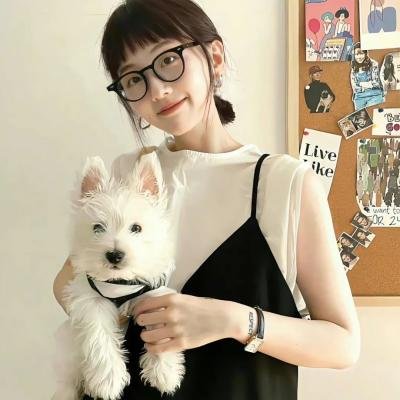 灵书妙探第七季